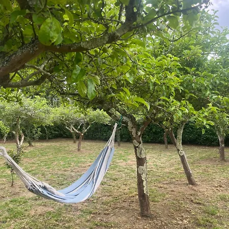 Casa Maria B - A 3km Del Camino Lägenhet