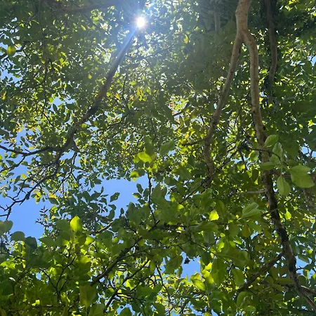 Casa Maria B Διαμέρισμα