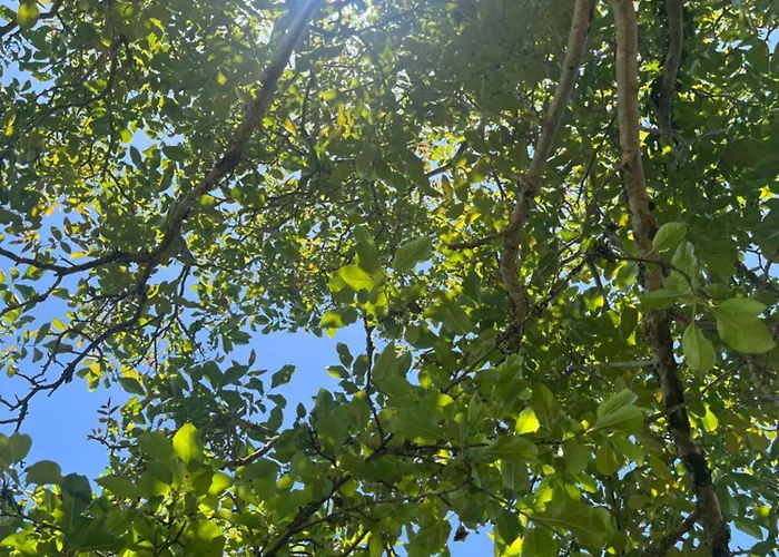 Casa Maria B Apartmán